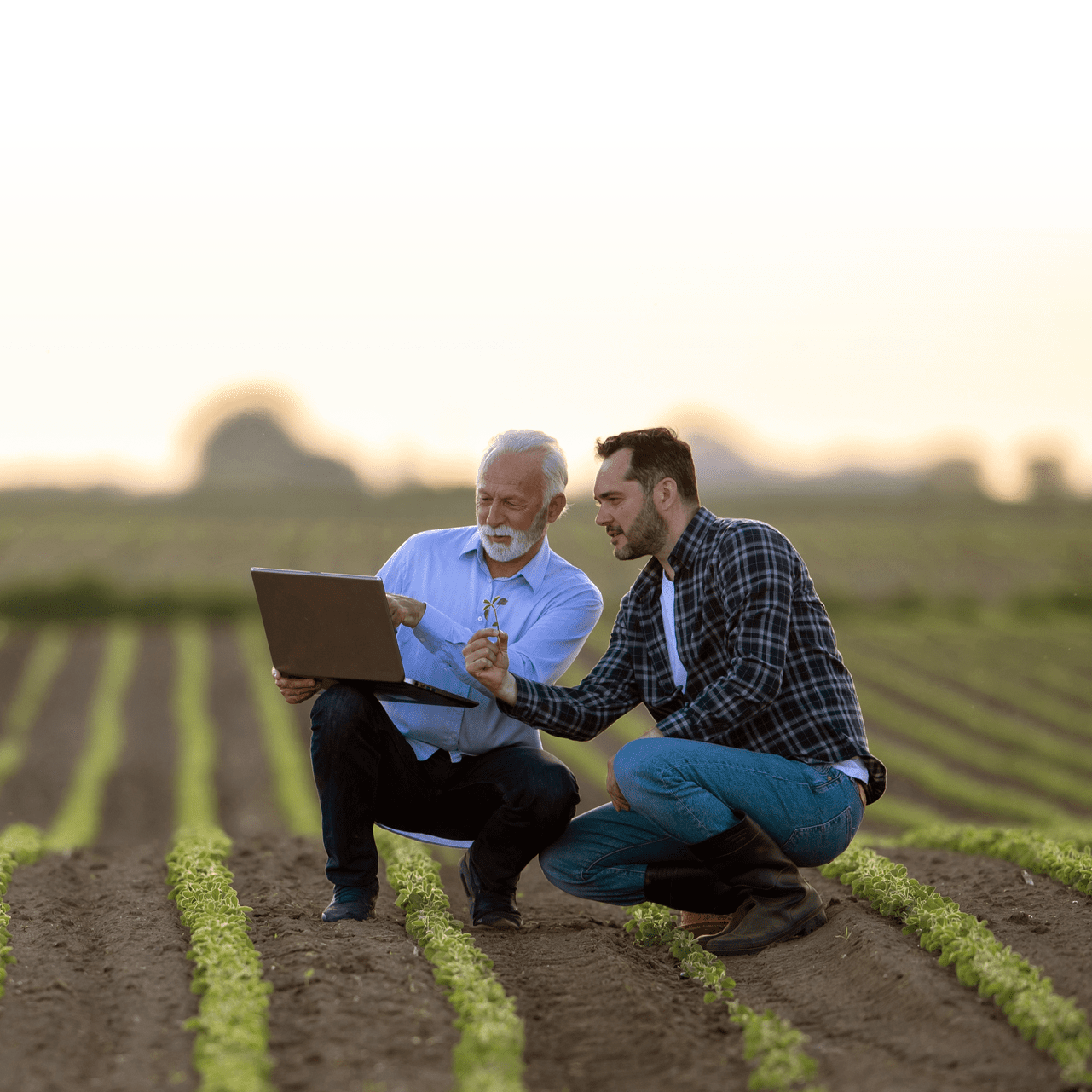 two men discussing farmland investing farmvestor