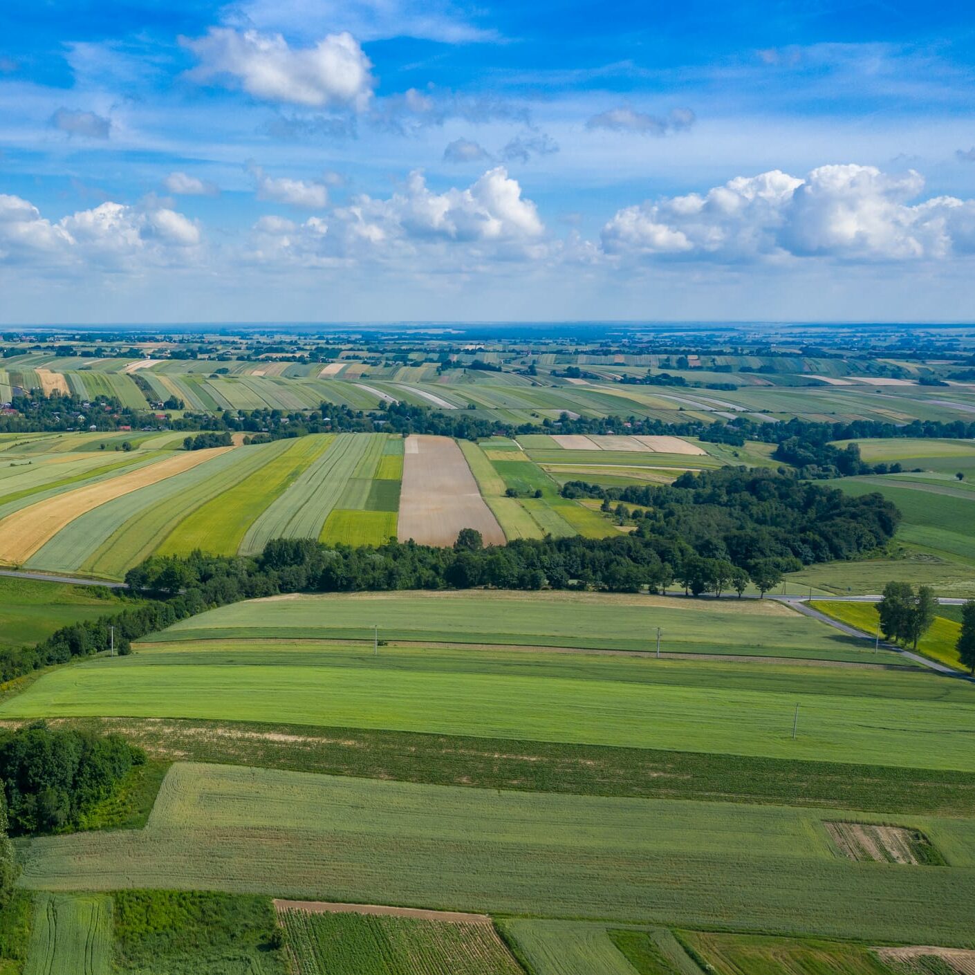 aerial view of crop investing farmvestor